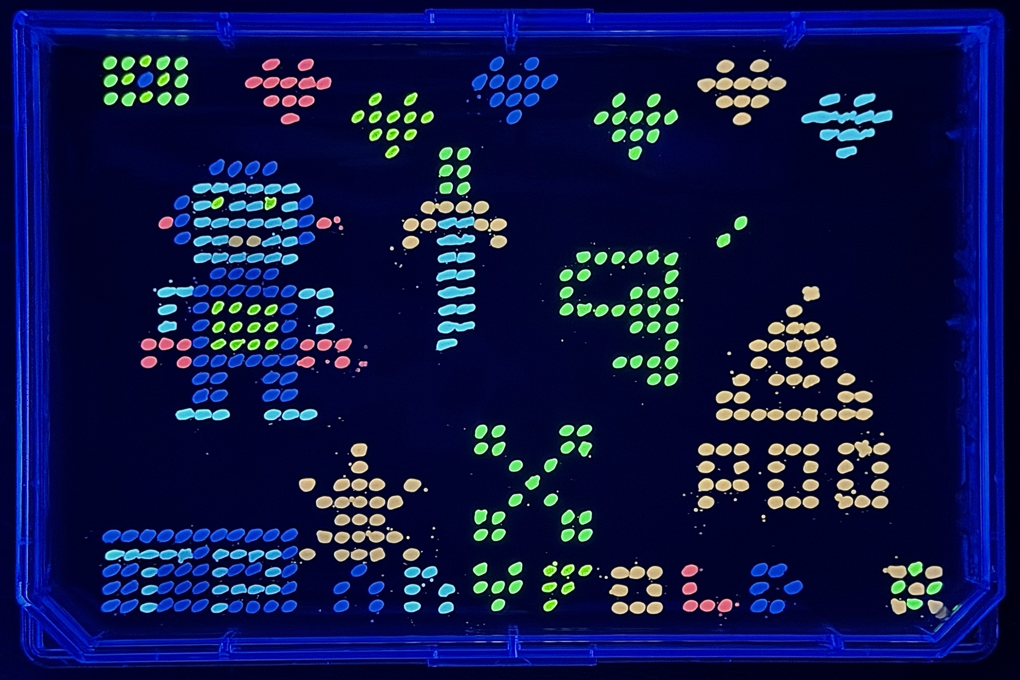 Plate 2 — fluorescent agar pixel art under UV light